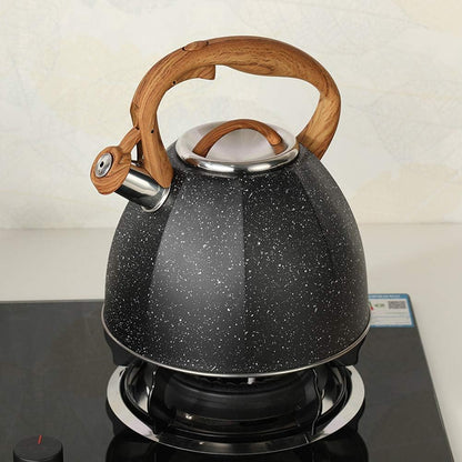 Bouilloire à Sifflet Tesly En Acier Inoxydable